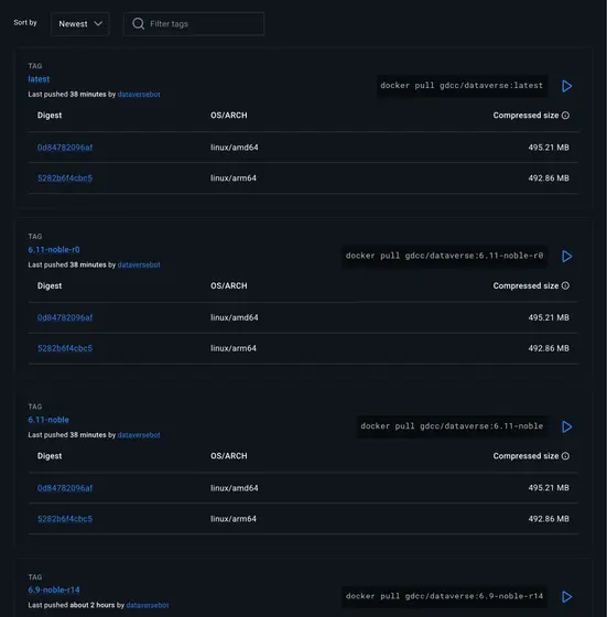 Screenshot 2026-07-01 at 17-40-10 gdcc_dataverse - Docker Image.png